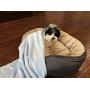Higher Comfort Super Soft Premium Pet Blankets for Small Dogs, Puppies, Cats & Kittens - 30'' x 40'' - Great for Pet Beds and Carriers