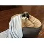 Higher Comfort Super Soft Premium Pet Blankets for Small Dogs, Puppies, Cats & Kittens - 30'' x 40'' - Great for Pet Beds and Carriers Higher Comfort Super Soft Premium Pet Blankets for Small Dogs, Puppies, Cats & Kittens - 30'' x 40'' - Great for Pet Beds and Carriers