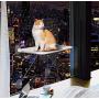 LSAIFATER All Around 360° Sunbath and Lower Support Safety Iron Cat Window Perch, Cat Hammock Window Seat for Any Cats
