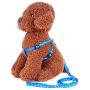 ColorMilky Cat Puppy Dog Harness and Leash Traction Kit