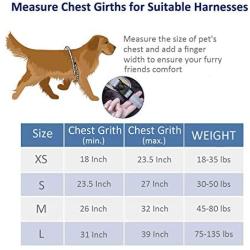 WePet Front Range Dog Harness, Adjustable, Reflective and Padded Pet Vest Harness, No Pull, Easy Control Handle and Front Clip for Walking, Training Small, Medium, Large Dogs
