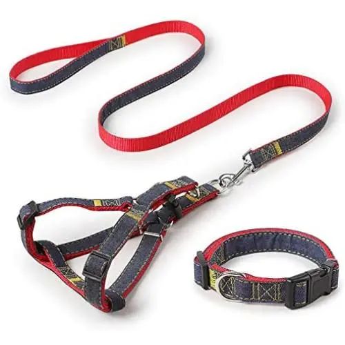 iCAGY Dog Harness and Leash Set with Collar for Small Pets, Easy Walk Adjustable No Pull Dog Harness Leash Collar, Soft Nylon H-Shape Full Dog Body Harness, Red S iCAGY Dog Harness and Leash Set with Collar for Small Pets, Easy Walk Adjustable No Pull Dog Harness Leash Collar, Soft Nylon H-Shape Full Dog Body Harness, Red S