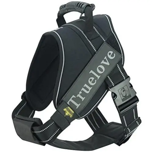 Creation Core Reflective Dog Vest Harness with Sturdy Handle and Removable Patches Comfy Soft Padded Creation Core Reflective Dog Vest Harness with Sturdy Handle and Removable Patches Comfy Soft Padded