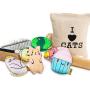 Chalyna 6 Pieces Cat Catnip Toys Plush Cat Toys Kitten Cat Chew Toys with Adorable Animal Face Bite Resistant Pet Toys for Kitty Cats Chewing and Playing