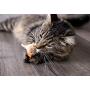 SmartyKat, Chickadee Chirp, Electronic Sound Cat Toy, Soft Plush Chirping Bird, Interactive, With Catnip and Stuffing