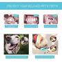Xqpetlihai Multifunctional Dog chew Toy ,Dog Rope Ball Toys with Suction Cup for Aggressive chewers,Dog Teeth Cleaning Interactive Pet Tug Toy