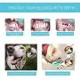 Xqpetlihai Multifunctional Dog chew Toy ,Dog Rope Ball Toys with Suction Cup for Aggressive chewers,Dog Teeth Cleaning Interactive Pet Tug Toy Xqpetlihai Multifunctional Dog chew Toy ,Dog Rope Ball Toys with Suction Cup for Aggressive chewers,Dog Teeth Cleaning Interactive Pet Tug Toy