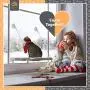 Cat Window Perch - Free Fleece Blanket and Toy – Extra Large and Sturdy – Holds Two Large Cats – Easy to Assemble!