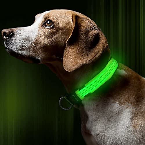 BSEEN LED Dog Collar, USB Rechargeable Light Up Safety Pet Collar, Adjustable Soft Nylon Webbing, Great for Small Medium Large Dogs …