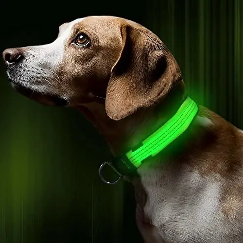 BSEEN LED Dog Collar, USB Rechargeable Light Up Safety Pet Collar, Adjustable Soft Nylon Webbing, Great for Small Medium Large Dogs … BSEEN LED Dog Collar, USB Rechargeable Light Up Safety Pet Collar, Adjustable Soft Nylon Webbing, Great for Small Medium Large Dogs …