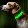 BSEEN LED Dog Collar, USB Rechargeable Light Up Safety Pet Collar, Adjustable Soft Nylon Webbing, Great for Small Medium Large Dogs … BSEEN LED Dog Collar, USB Rechargeable Light Up Safety Pet Collar, Adjustable Soft Nylon Webbing, Great for Small Medium Large Dogs …