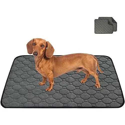 aag Washable Pee Pads for Guinea Pig Dogs Puppy (2 Pack) - Highly Absorbent Reusable Training Pads for Small Animals - Non Slip Bottom - Home and Travel aag Washable Pee Pads for Guinea Pig Dogs Puppy (2 Pack) - Highly Absorbent Reusable Training Pads for Small Animals - Non Slip Bottom - Home and Travel