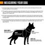 Hurtta Active Dog Harness
