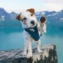 Hurtta Active Dog Harness
