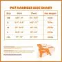 Best Pet Supplies Voyager Step-in Air Dog Harness - All Weather Mesh, Step in Vest Harness for Small and Medium Dogs, Red (Matching Trim), XS (Chest: 13-14.5'') (207-RDW-XS)