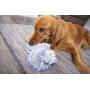 goDog Dinos Triceratops With Chew Guard Technology Tough Plush Dog Toy, Grey, Large
