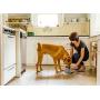 choemore Dog Bowl Stainless Steel Dog Food Bowl Anti-Slip Cat Dish with Removable Dog Water Bowl