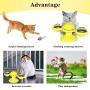 AOT 4 PCS Windmill Cat Toy Interactive Turntable with Suction Cup and Soft Silicone Scratch Brush,with Bells & EVA Balls for Kitten,Kitty Relieves Boredom,(7 pcs) Kitten Plaything Yellow