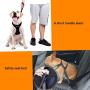 PetiFine Dog Harness with Car Safety Seat Belt, Adjustable Breathable Air Mesh Puppy Vest Harness for X- Small/Small/Medium/Large Dogs & Cats