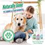 airpure Naturally Gone Pet Odour Eliminator by, Heat Sealed Cap, Enzyme Cleaner Removes Smells and Stains, Cat Litter Freshener, Works on Urine, Vomit, Faeces and More - Pine Forest Fragrance