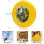 Pet Frisbee Flying Disc Dog Toy - Multifunction 5th Avenue Naples Florida Christine Hopkins