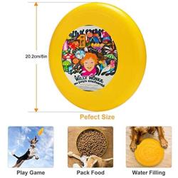 Pet Frisbee Flying Disc Dog Toy - Multifunction Willy Wonka and The Chocolate Factory French Petite Film Poster_1024x1024