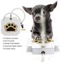 MATOP Dog Water Fountain