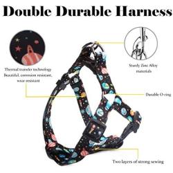 QQPETS Dog Harness Leash Set,Adjustable Vest Durable Heavy Duty Puppy Small Medium Large Dogs Perfect for Walking Running Training Starry Sky