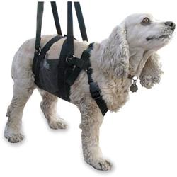 ANIMAL SUSPENSION TECHNOLOGY GET-A-Grip Dog Harness - Small - Black Lift Harness for Dogs - Support for Injured OR WEAK Dogs - Rehab Harness