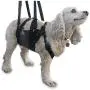 ANIMAL SUSPENSION TECHNOLOGY GET-A-Grip Dog Harness - Small - Black Lift Harness for Dogs - Support for Injured OR WEAK Dogs - Rehab Harness
