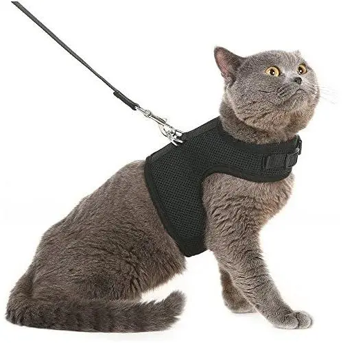 PUPTECK Checkered Frills Soft Mesh Dog Vest Harness Puppy Padded Pet Harnesses for Cat Small Dogs PUPTECK Checkered Frills Soft Mesh Dog Vest Harness Puppy Padded Pet Harnesses for Cat Small Dogs