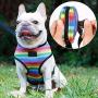 Dog No-Pull Harness Vest & Leash Set with Poopbags Pouch,Rainbow Adjustable Double-Layer Mesh Pet Clothes for Puppy Teddy Shar Pei Small Medium Dogs,Breathable Padded Handle,Daily Walking Travelling