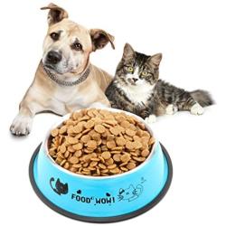 SMALLLEE_LUCKY_STORE Small Dog Cat Bowl, Blue, Medium