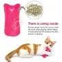 AINOLWAY Interactive Cat Catnip Toys Funny for Kitten Kitty Cat Kicker Teething Chew Playing 3 Pcs (Catnip Toy) AINOLWAY Interactive Cat Catnip Toys Funny for Kitten Kitty Cat Kicker Teething Chew Playing 3 Pcs (Catnip Toy)