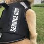 PET OPT Service Dog Vest Harness with Handle Classic Black No Pull Gentle,Adjustable Dog Vest Reflective Easy for Walking Training