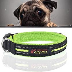 Chenyouwen Pet Toys Great Pet Dogs Polyester Reflective Breathable Pets Collar Traction Lead Leash, Size: L, 2.54754cm (Black) (Color : Green)