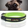Chenyouwen Pet Toys Great Pet Dogs Polyester Reflective Breathable Pets Collar Traction Lead Leash, Size: L, 2.54754cm (Black) (Color : Green)