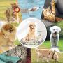 Routesun Snuffle Mat for Dogs Cats - Wooly Feeding Mat Pet, Encourages Natural Foraging Skills for Small Large Dogs Slow Feeder Puzzle Toy, Easy to Fill, Durable and Machine Washable