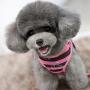 BroBear Pet Stripes Vest Mesh Harness and Leash Set with Rhinestones for Cats & Small Dogs