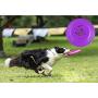 DISCDOG 3-Star Toughness Dog Flying Disc Dog Play Toy for Training(9-1/4 Inch)