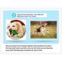 TONGLIYA Pets Dog Toothbrush Teeth Cleaning Stick Massager - Puppy Dental Care Toothpaste Accessory - Nontoxic Natural Rubber Bite Resistant Funny Bite Resistant Chew Toys for pet Dogs