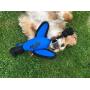 Nerf Dog Large Nylon Launching Duck with Interactive Design