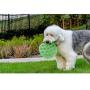 Floppy Spike Dog Frisbee Soft: Best Flexible Flying Dog Toy | Made in USA | Medium & Large Dog Frisbee | Best Dog Toy for Toss & Dog Fetch | Teach Your Dog Fetch | Soft Flexible Dog Toy Flying Disc