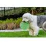 Floppy Spike Dog Frisbee Soft: Best Flexible Flying Dog Toy | Made in USA | Medium & Large Dog Frisbee | Best Dog Toy for Toss & Dog Fetch | Teach Your Dog Fetch | Soft Flexible Dog Toy Flying Disc Floppy Spike Dog Frisbee Soft: Best Flexible Flying Dog Toy | Made in USA | Medium & Large Dog Frisbee | Best Dog Toy for Toss & Dog Fetch | Teach Your Dog Fetch | Soft Flexible Dog Toy Flying Disc