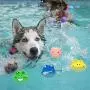 Squeaky Dog Toys, 6 Pack Soft Rubber Puppy Teeth Toys Funny Animal Sets Pet Interactive Fetch Play for Small Dogs Best Gifts