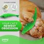 Ronton Cat Toothbrush Catnip Toy - Durable Hard Rubber - Cat Dental Care, Cat Interactive Toothbrush Chew Toy (2-Pack Green/Blue)