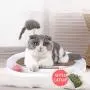 GOHOO PET Cat Scratching Pad Cardboard Cat Tracks Toy Ball Cats Scratching Toy Kitten Scratcher with Interactive Exercise Training Mouse GOHOO PET Cat Scratching Pad Cardboard Cat Tracks Toy Ball Cats Scratching Toy Kitten Scratcher with Interactive Exercise Training Mouse