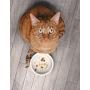 Genuine Fred Howligans Mug & Basic Bowl for Cats - Beauty Queen, White