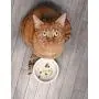 Genuine Fred Howligans Mug & Basic Bowl for Cats - Beauty Queen, White