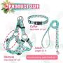 EXPAWLORER No Pull Dog Harness with Leash and Collar Set, Basic Halter Vest Harness, Adjustable Soft Strap with Fashion Banana Flamingo Design